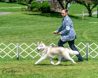 20250629-DSC09703