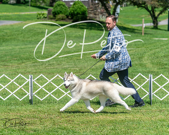 20250629-DSC09703
