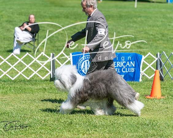 20250629-DSC00950
