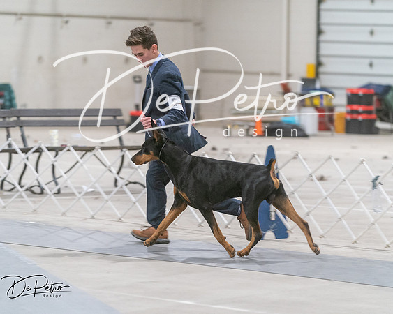 20250302-DSC07733