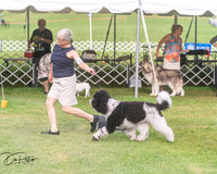 20250628-DSC08924