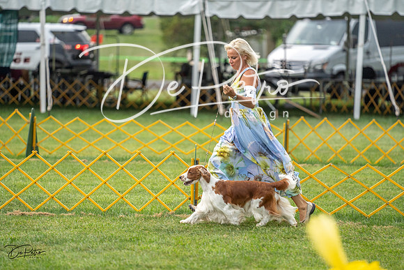 20230908-DSC06849