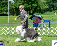 20250629-DSC00781