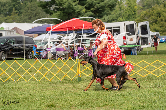 20230909-DSC07625