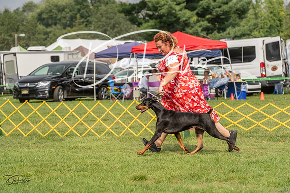 20230909-DSC07627