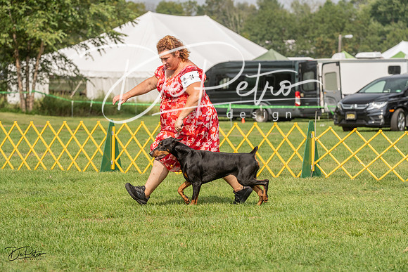20230909-DSC07637