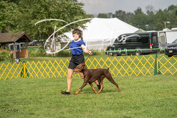 20230909-DSC07561