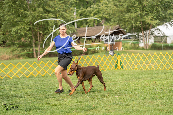 20230909-DSC07570