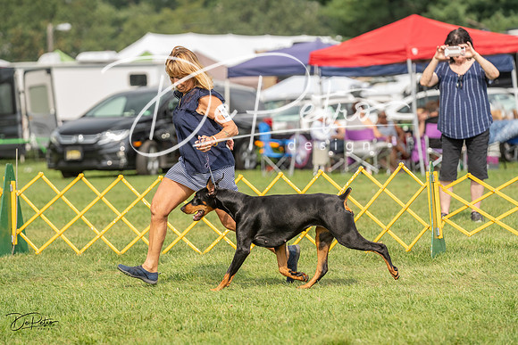 20230909-DSC07576