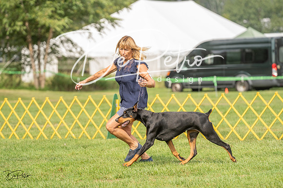 20230909-DSC07584