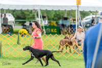 20230909-DSC00016