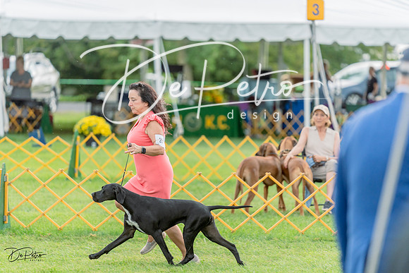 20230909-DSC00016