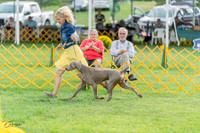 20230909-DSC00042