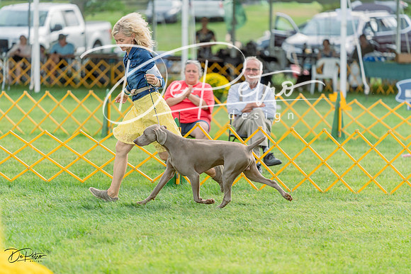 20230909-DSC00042