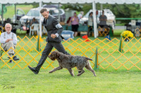 20230909-DSC00048