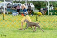 20230909-DSC00035
