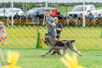 20230909-DSC00056