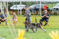 20230909-DSC00058