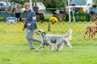 20230909-DSC00064
