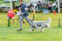 20230909-DSC00069