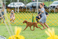 20230909-DSC00072