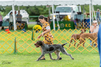 20230909-DSC00077
