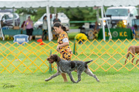 20230909-DSC00079