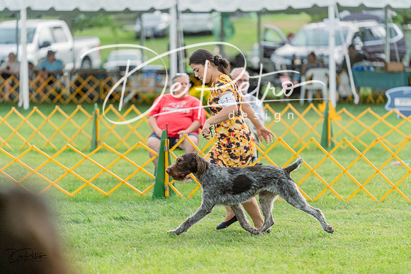 20230909-DSC00086
