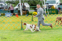 20230909-DSC00105