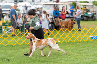 20230909-DSC09500