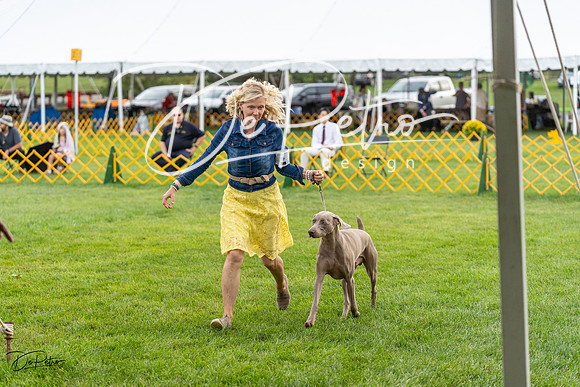 20230909-DSC09606