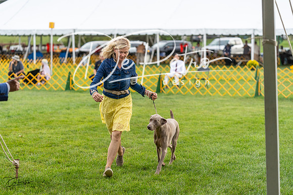 20230909-DSC09609