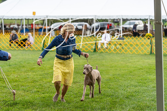 20230909-DSC09611