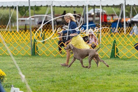 20230909-DSC09622