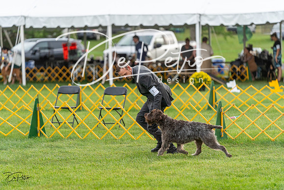 20230909-DSC09644