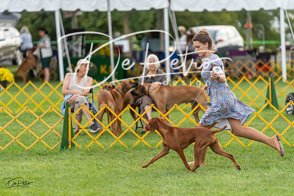 20230909-DSC09715