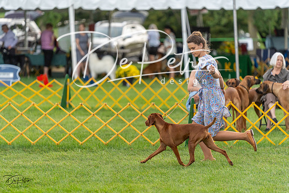20230909-DSC09719