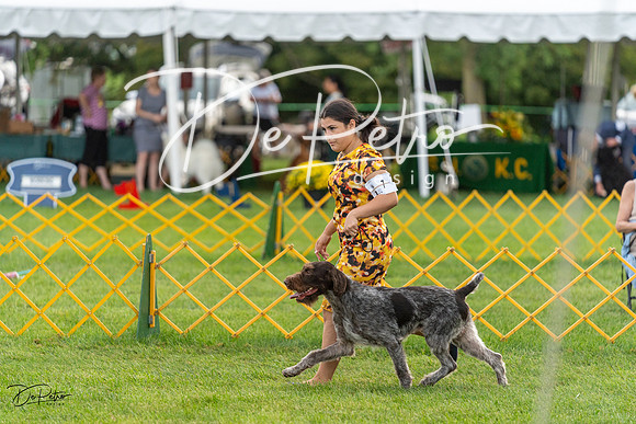 20230909-DSC09734