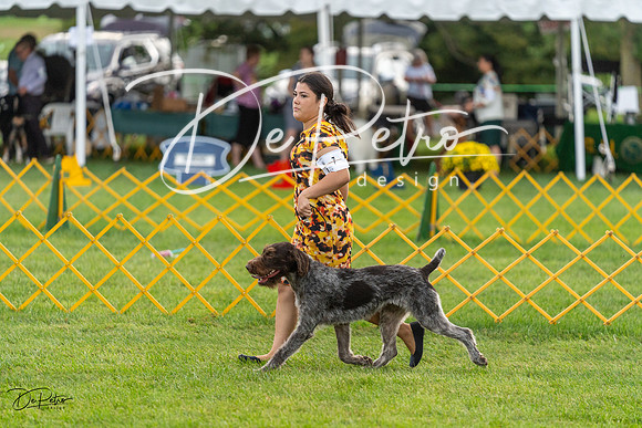 20230909-DSC09737