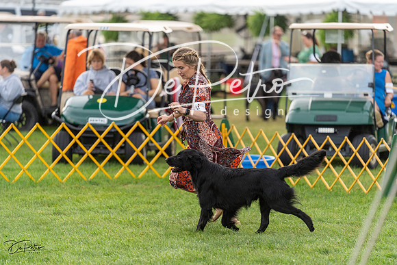 20230909-DSC09747