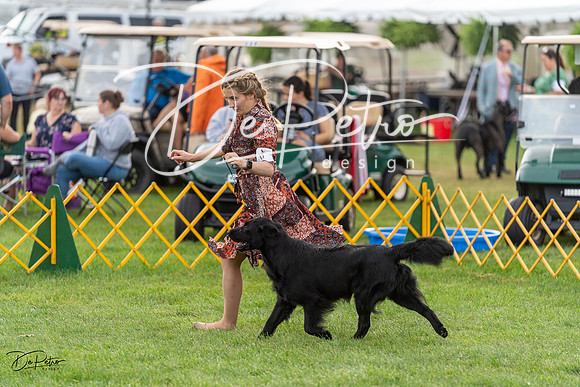 20230909-DSC09749