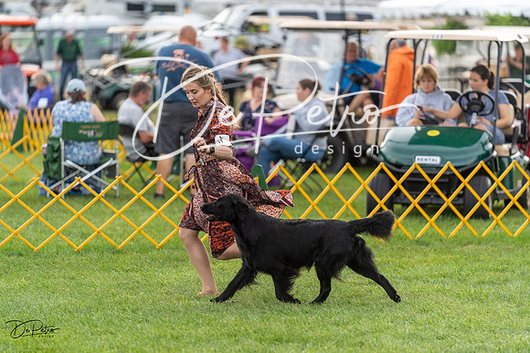20230909-DSC09753