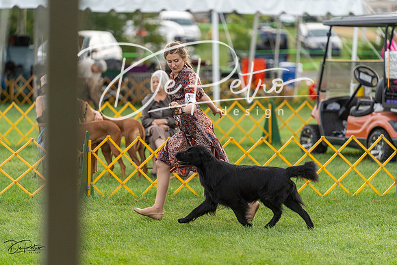 20230909-DSC09762