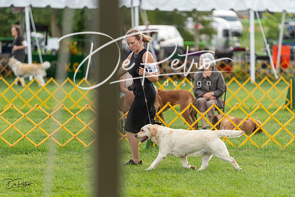 20230909-DSC09788