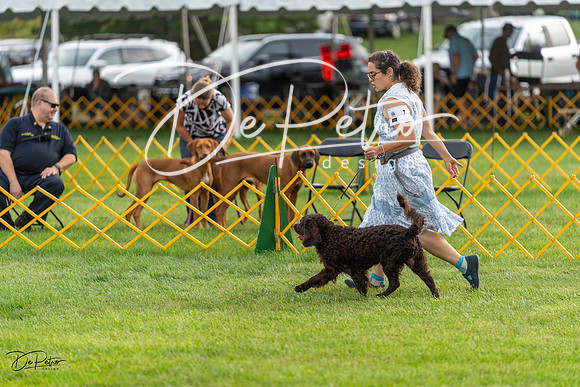 20230909-DSC09853