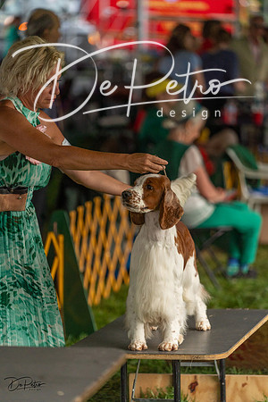20230909-DSC09865