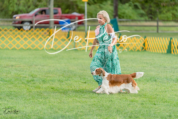 20230909-DSC09893