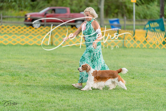 20230909-DSC09897