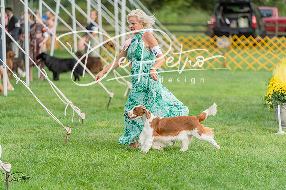 20230909-DSC09912
