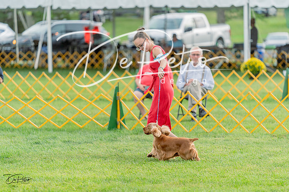 20230909-DSC09952